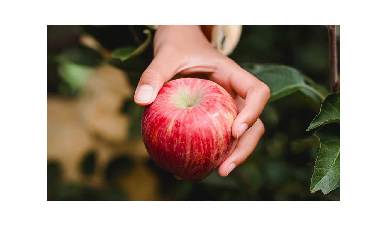 Pourquoi manger bio ?